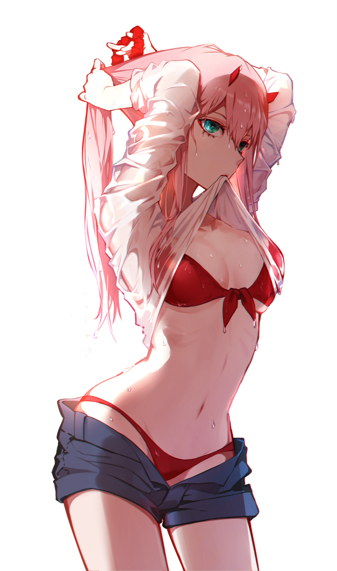 Darling-in-the-FranXX-Zero-Two-Darling-in-the-FranXX-anime-girls-pink-hair-21966.jpg